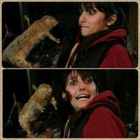 Le foto di Özge Kaçar