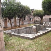 Patrick Curtin的照片