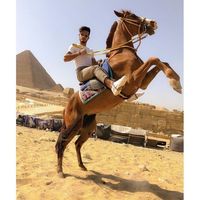 Marinos El Hawary's Photo