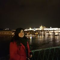 Parniyan Maneshi's Photo