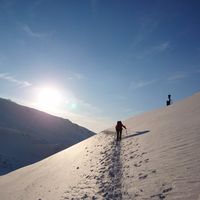 Yoshinori Sato的照片