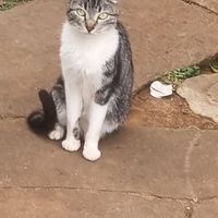 Marcos Benitez的照片