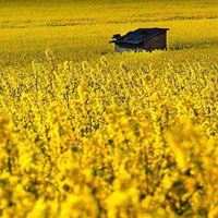 Priscilla Diaz's Photo