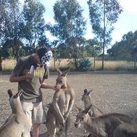 Constantin Weis's Photo