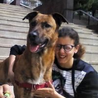 Vanesa artola的照片