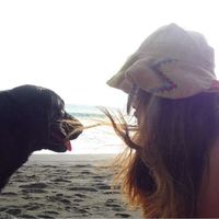 Elaine Simaan's Photo