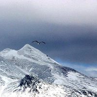 Hostels Iniceland Com's Photo