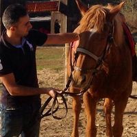 Fotos von Alexandros Leimoni