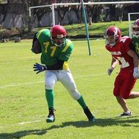 Fotos von Javiero Contrera