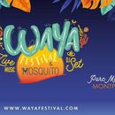 Waya Festival 's picture