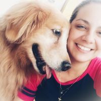 Karen Giuliana Lourenço的照片