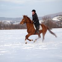 Miriam Christine Reinhardt's Photo