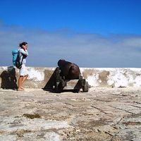 la_bougeotte's Photo