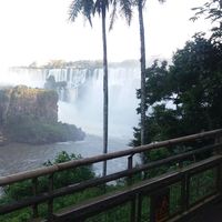 Flor Morgane的照片