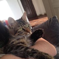 Ali İhsan Bayır's Photo