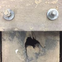 Adam Crockett's Photo