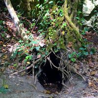 Sabine Huber's Photo