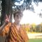 Photo of T