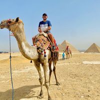 Henry Pilaquinga的照片