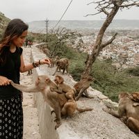 Shafarina J的照片