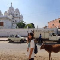 Maria Acevedo的照片