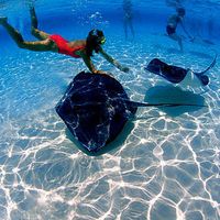 TAnia Abi Khalil's Photo