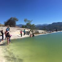 Alice Thibaud's Photo