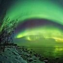 Trip To Russia (Northern Light Hunt ) 's picture