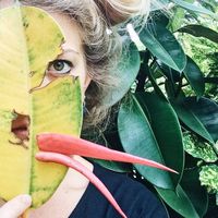 teresa Pallaver的照片