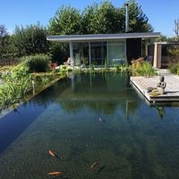 Bernard Lootens's Photo