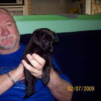 Tony Cuming的照片