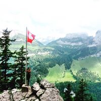 Janice Marie的照片