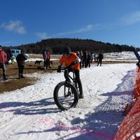 Camillehonneur的照片