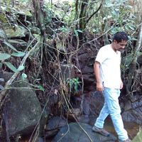 Ferdnando Brito的照片