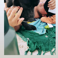 Maxi Cricelli的照片