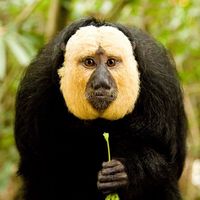 Camilla Fantinati's Photo