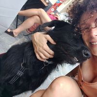 barbara Spina的照片