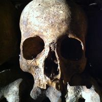 Michael Grabois's Photo