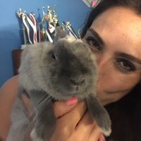 Melissa New的照片