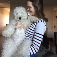 Hilde Tollen的照片