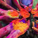 Bikaneri Holi's picture