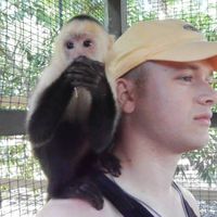 Le foto di Brad Hall