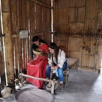 Ana A. Ramirez的照片