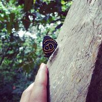 Fotos de Isabel Osorio