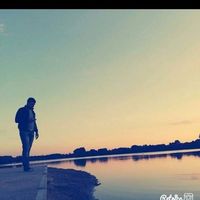 Zamo Shmilli's Photo