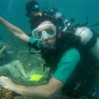 Ali Heidarnia's Photo