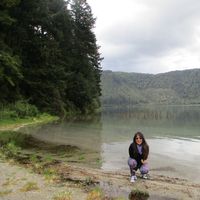 MEIJI TSUKAMOTO的照片