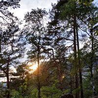 Alzbeta Tvrznikova's Photo