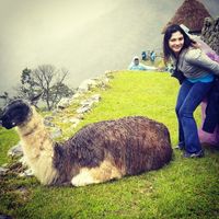 katherine pacciardi的照片