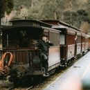 Puffing Billy Train & Emerald Lake Park's picture